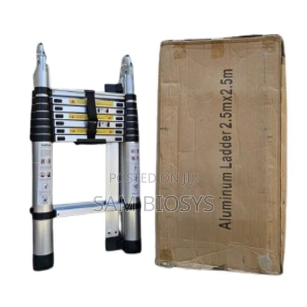 Double Telescopic2.5+2.5m Ladder
