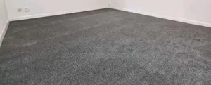 Delta Wall to Wall Office Carpets