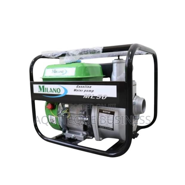 Water Pump - Milano 2" - main view