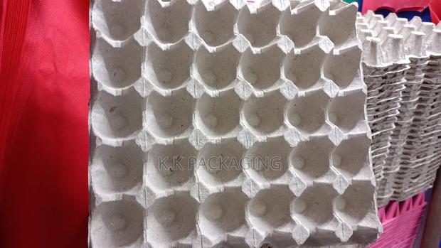100pcs Hard Trays