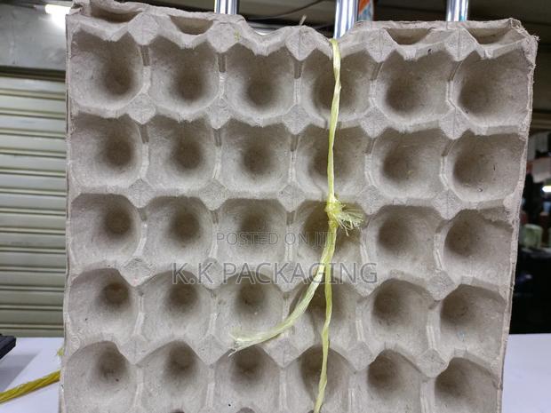100pcs Hard Trays - thumbnail 3