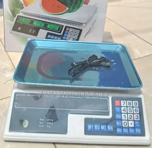 ACS 40kg Armless Digital Computing Scale S-5