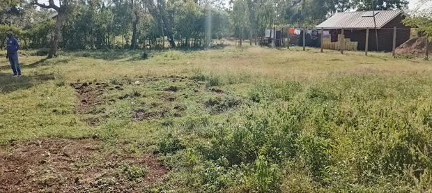 Bondo Wema Plot - main view