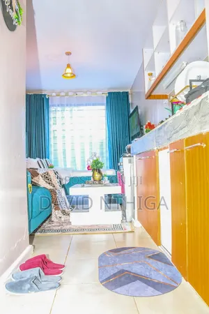 Fully Furnished Airbnbs.