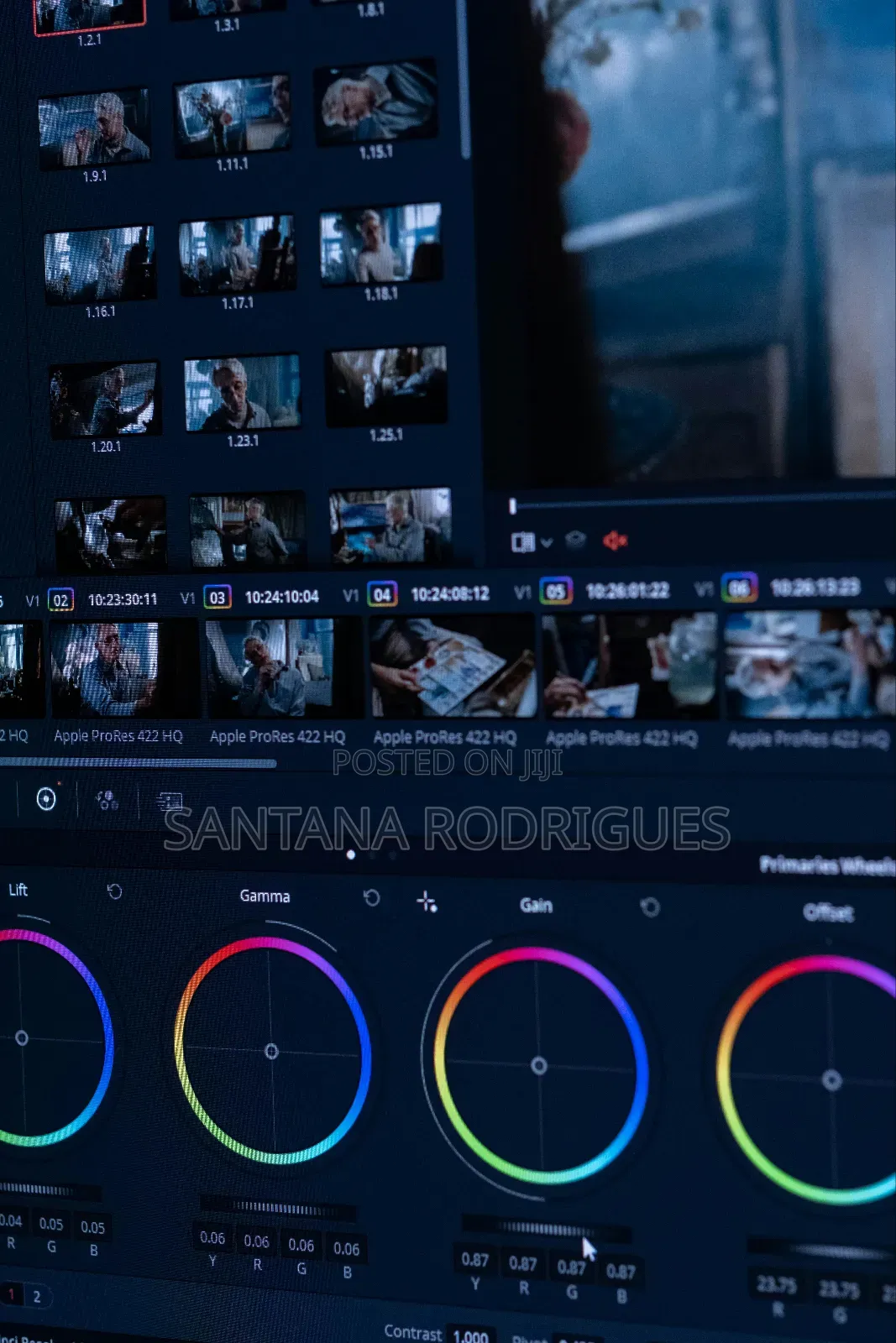 Professional Youtube Video Editor