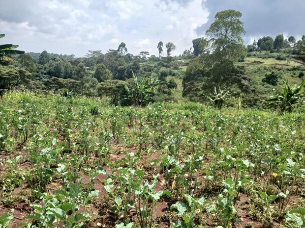 Distress Sale! Prime Half Acre in Kahara, Ngong