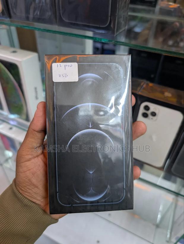New Apple iPhone 12 Pro 256 GB Silver - main view
