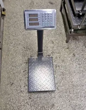 300kg Small Base Without Guard Platform Scale
