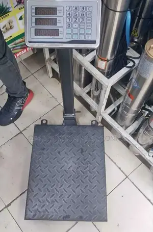 300kg Platform Scale Big Base Without Guard