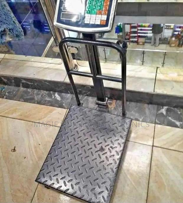 Reliable 150kg Platform With Guard - main view