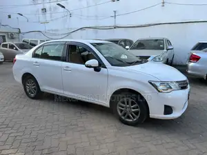 Toyota Axio 2013 Pearl