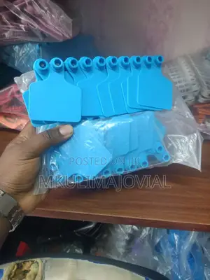 Blue Plain Ear Tags for Cows/Livestock