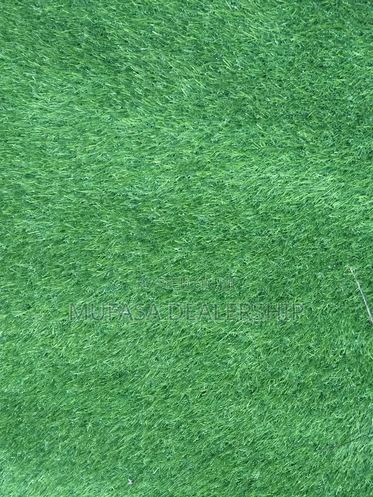 Decorative Grass Carpet