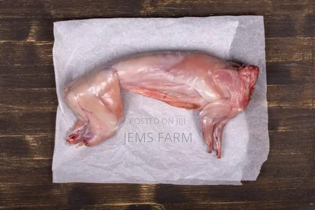 Freshly Slaughtered Rabbit Meat - main view