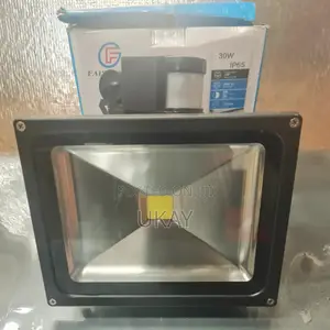 30W LED Flood Light.