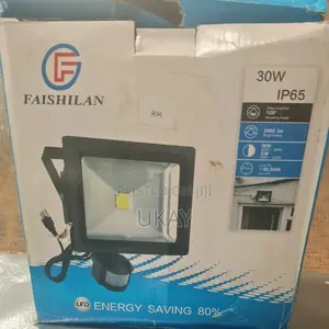 30W LED Flood Light.