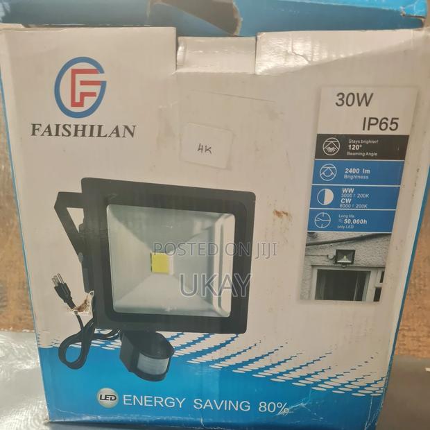 30W LED Flood Light. - thumbnail 3