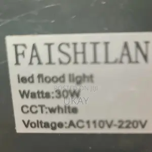 30W LED Flood Light.