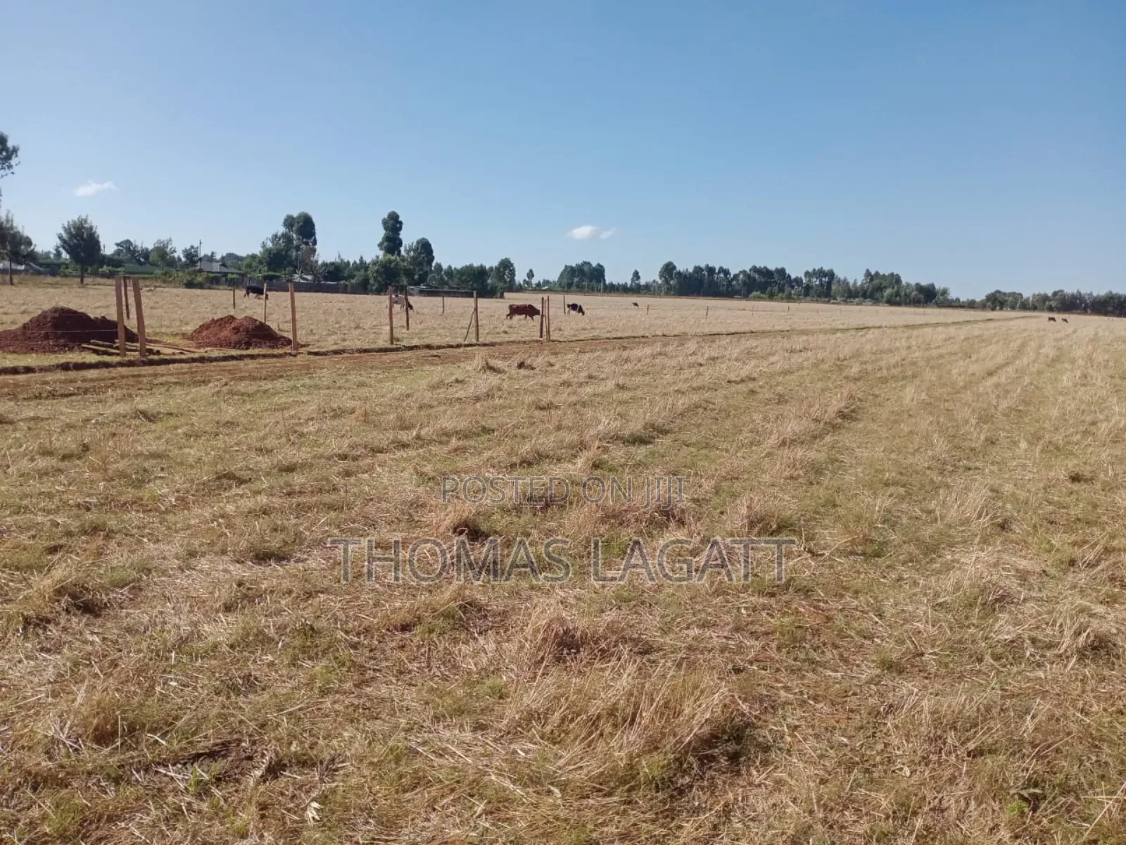 Eldoret Sogomo Residential Plots on Sale