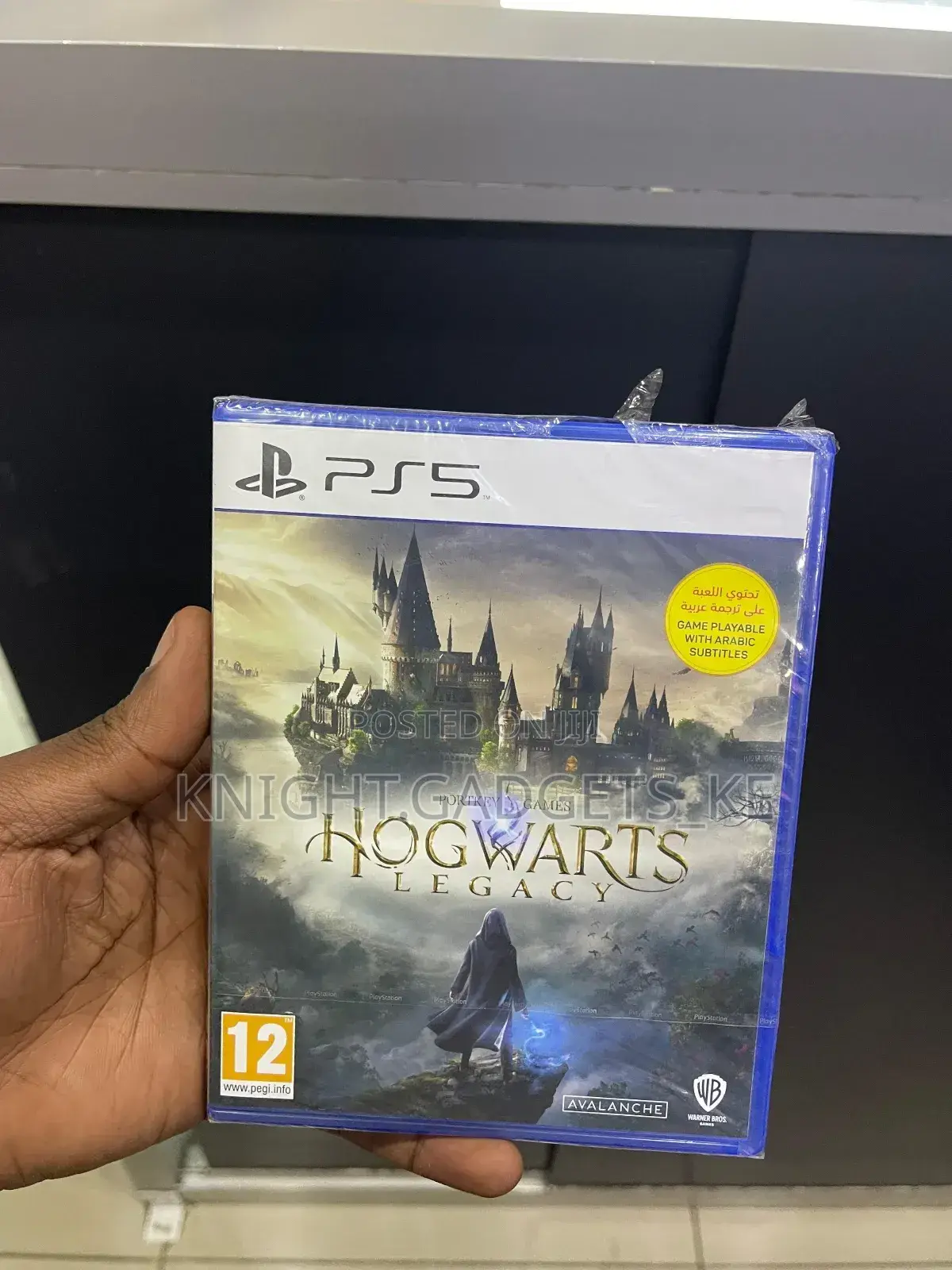 Hogwarts Legacy Ps5