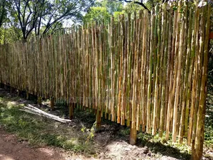 Sisal Poles Fencing Dealers