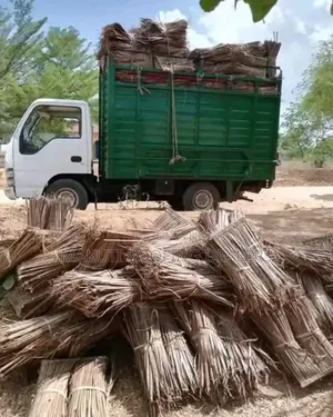 Makuti Fundi and Suppliers