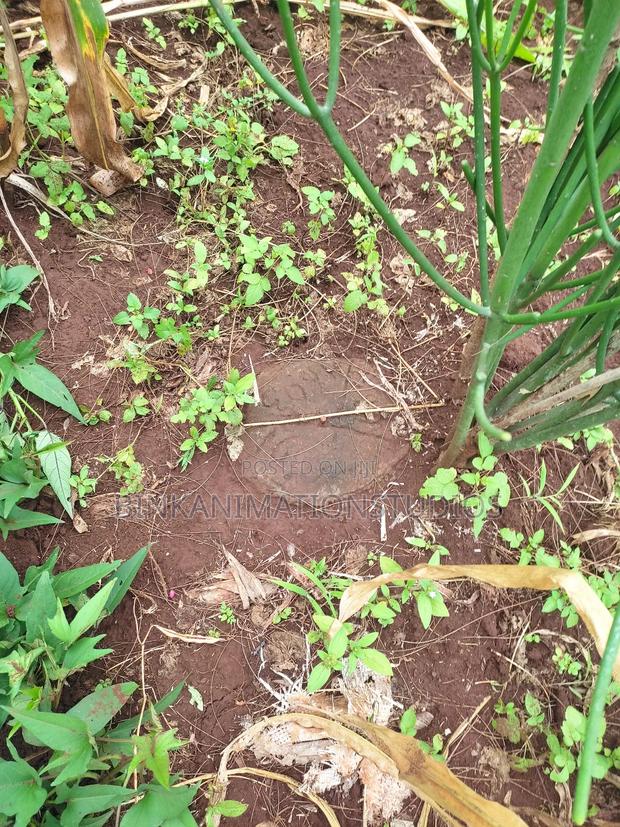 Plot for Sale in Thika, Chania Estate Ngoingwa 50 by 100