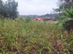 Plot for Sale in Thika, Chania Estate Ngoingwa 50 by 100
