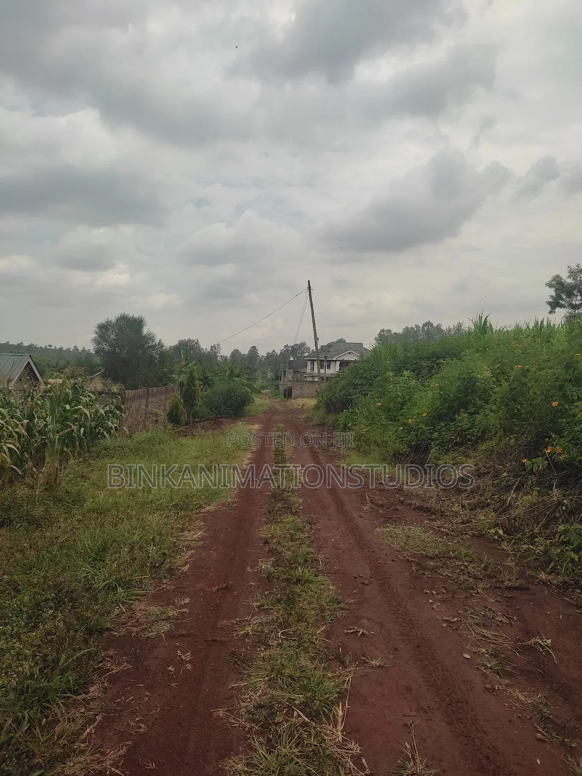 Plot for Sale in Thika, Chania Estate Ngoingwa 50 by 100