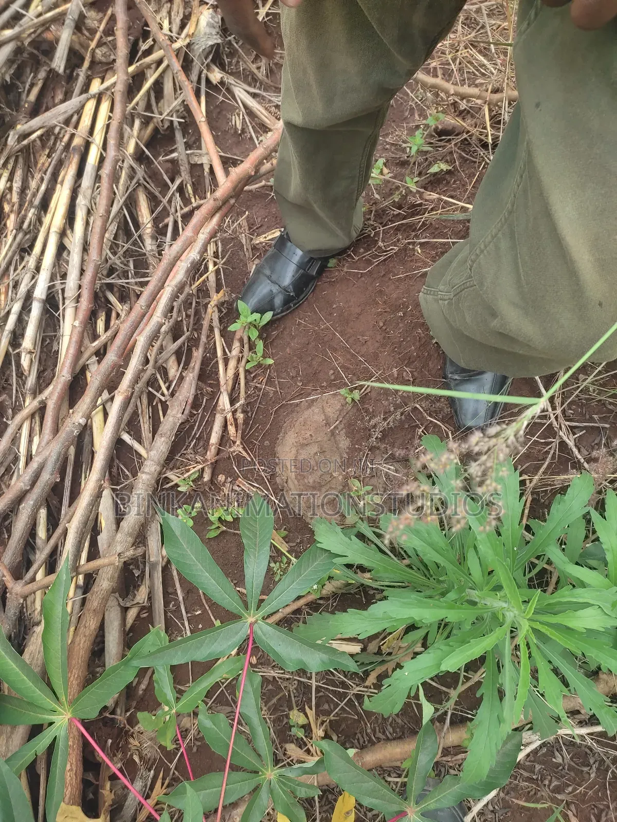 Plot for Sale in Thika, Chania Estate Ngoingwa 50 by 100