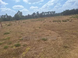 Very Prime Plots in Leshau Nyandarua County