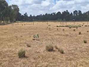 Very Prime Plots in Leshau Nyandarua County