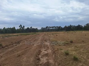 Prime Land for Sale