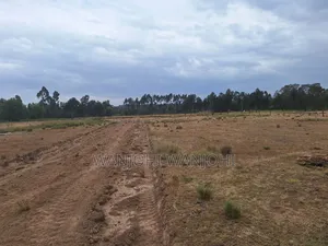 Prime Land for Sale