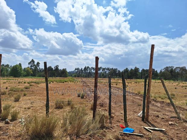 Prime Land for Sale - thumbnail 5