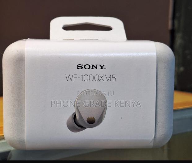 Sony Wf_1000xm5 Buds - main view