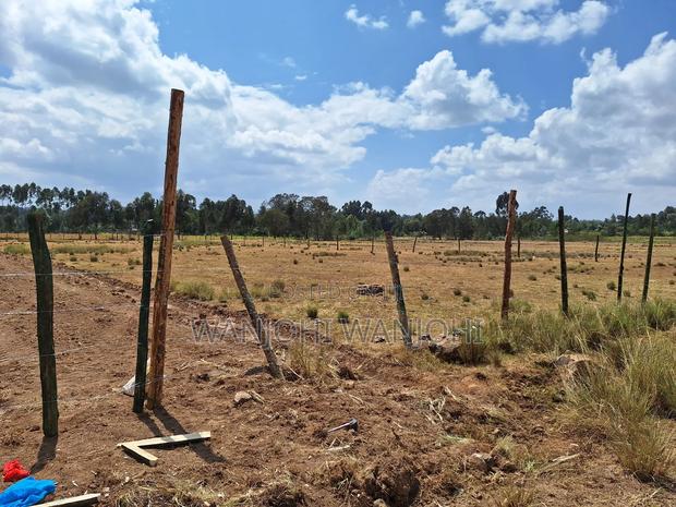 Magnificent Properties - thumbnail 3