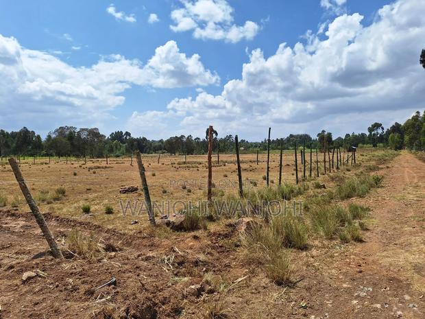 Magnificent Properties - thumbnail 4