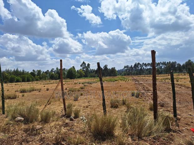 Magnificent Properties - thumbnail 5