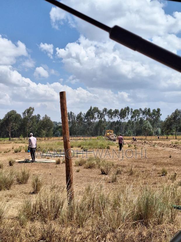 Magnificent Properties - main view