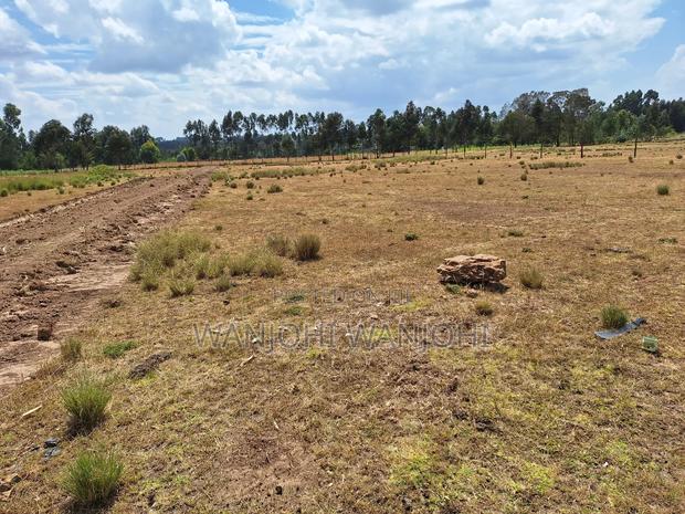 Magnificent Properties - thumbnail 6