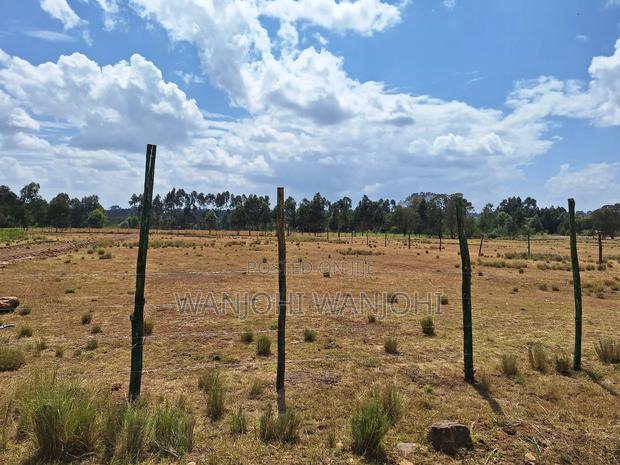 Land for Sale - thumbnail 2