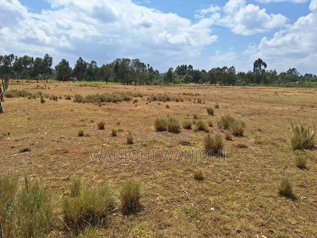 Land for Sale - thumbnail 4