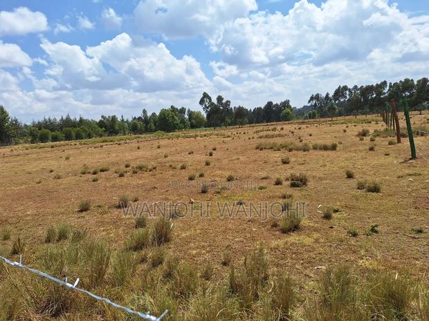Land for Sale - thumbnail 5