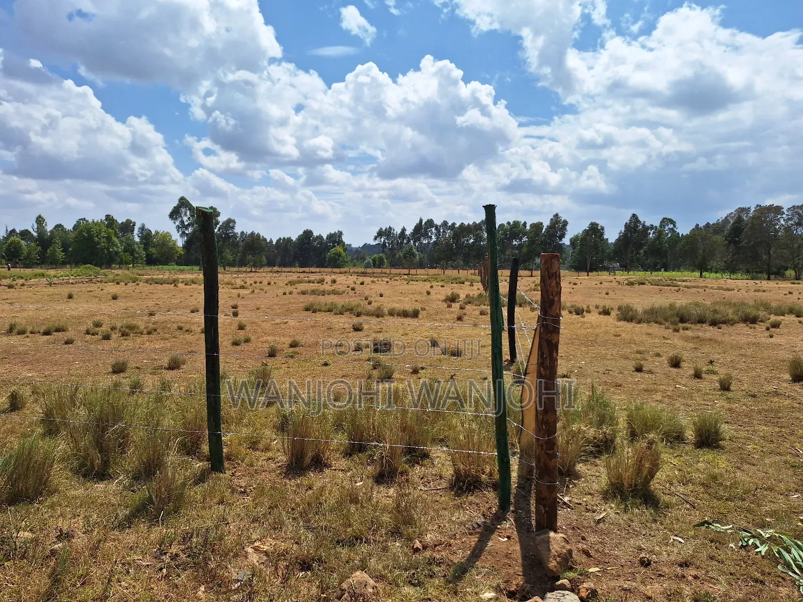 Land for Sale