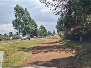 1/8 Acre Supreme Plots at Kasuku - thumbnail 2