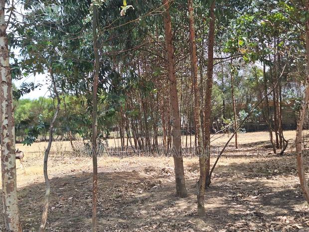 1/8 Acre Supreme Plots at Kasuku - thumbnail 3