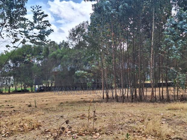 High-Grade Eighth Acre Plots at Kasuku - thumbnail 3