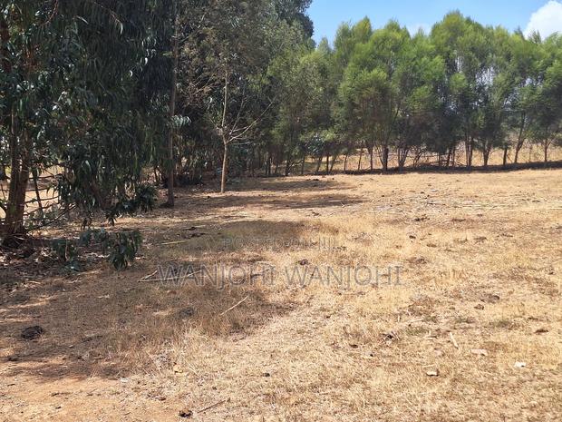 High-Grade Eighth Acre Plots at Kasuku - thumbnail 5