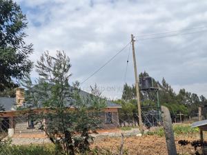 High-Grade Eighth Acre Plots at Kasuku - thumbnail 2